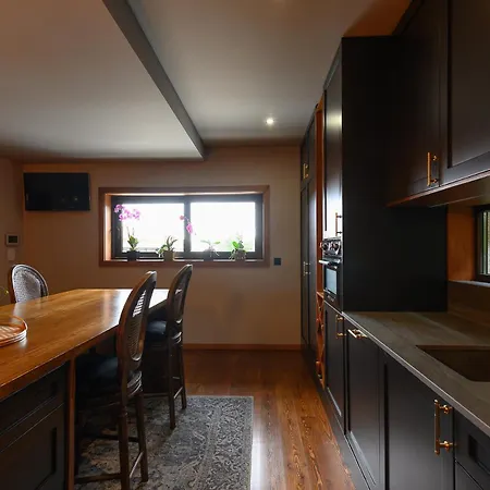 Ab Real-estate Villa Chamusca (Porto)